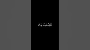 سورة آل عمران | يَسْتَبْشِرُونَ بِنِعْمَةٍ مِّنَ الله #المنشاوي #قرآن #سورة_آل_عمران #شاشه_سوداء