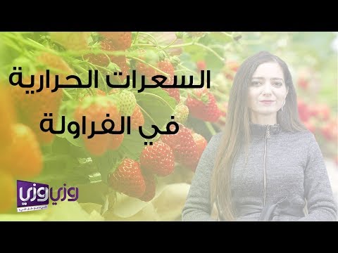 السعرات الحرارية في الفراولة