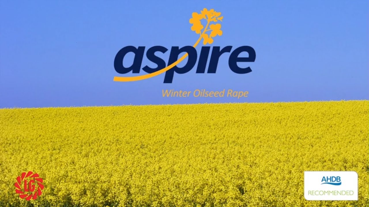 AHDB Recommended List 2019/20 | Aspire  Oilseed Rape