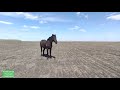 Почему лошадь убегает из родного табуна