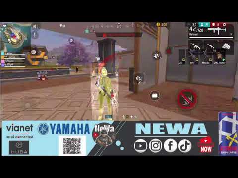 newa is live