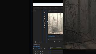 In this video we will see how the Razor tool is used