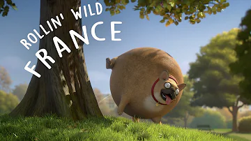 Rollin' France - what if animals were round?