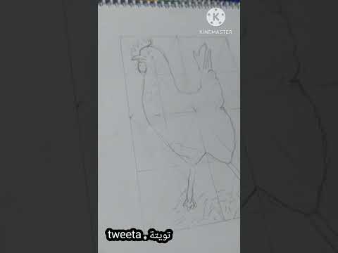 فرخه فكه عن القطيع شويه