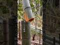 放置竹林、全国で問題となっている竹林、ゴミの山とするか、宝の山とするかは自分次第