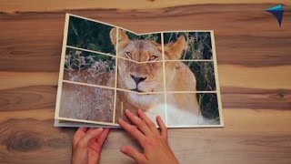 Das echte Fotobuch® Softcover A4 Hochformat screenshot 5