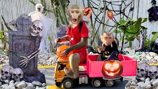 Bim Bim And Monkey Baby Obi Participate In The Halloween Festival And Rescue Ducklings