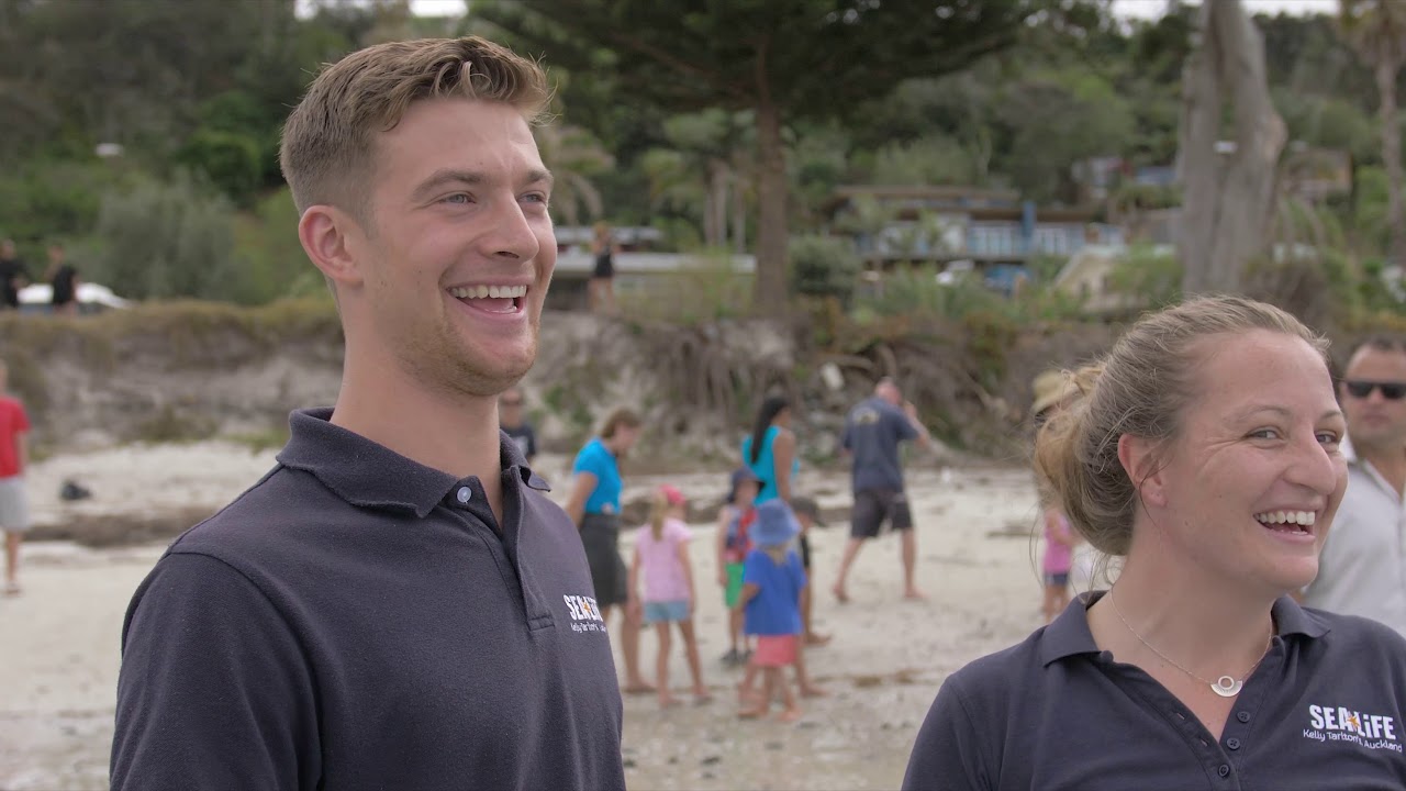 Endangered sea turtle released back into the ocean!
