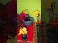 har har mahadev 🙏🌹#shortvideo#trending#shorts #explore#viral#trendingshorts #short#mahadev#mahakal