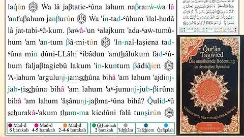 ختمة من مصحف التجويد باللغة الألمانية الصفحة رقم 175