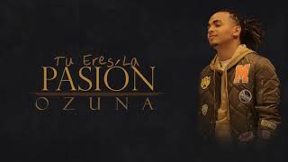 Ozuna-  Pasión & Deseó 😈 screenshot 3