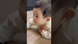 우리집 로봇청소기😂| 뒤돌아서면 없어져있는 요즘🤣| #아기 #7개월차 #227일