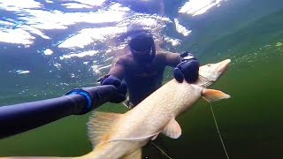 Подводная охота с Лубягиным Максимом в Волгограде .Spearfishing with Lubyagin Maxim Volgograd cc(Подводная охота с Лубягиным Максимом в Волгограде . Spearfishing with Lubyagin Maxim Volgograd #Подводнаяохота #Spearfishing ▱▱▱▱▱..., 2017-01-03T18:24:00.000Z)