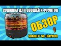 Сушилка для овощей и фруктов Scarlett / Обзор