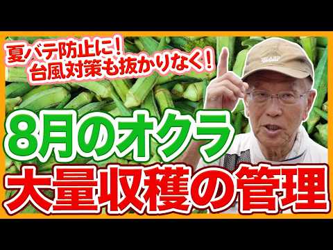8月の挿し木、半熟枝で成功率アップ！私が実践するコツと注意点