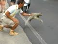 Sloth crossing the street i believe i can fly version