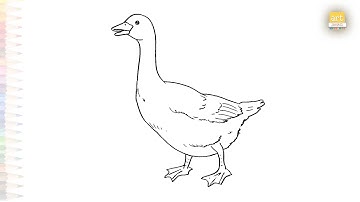 Goose drawing easy 01 | Art tutorial | How to draw A Goose step by step simply | #artjanag