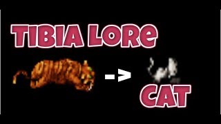 Tibia Cat Lore