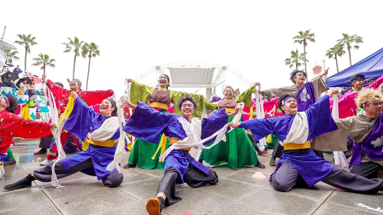4K] 大阪大学お祭りダンスサークル祭楽人 2025年度演舞『宝鳴る方へ