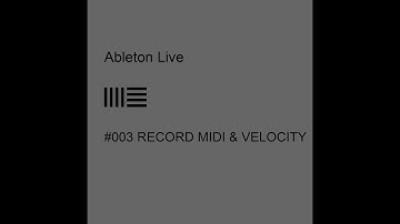 Recording MIDI notes & Velocity
