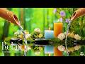 Soothing Relaxation Music + Healing Water Sounds 🌿 Stress Relief, Deep Sleep, Relax Mind and Body