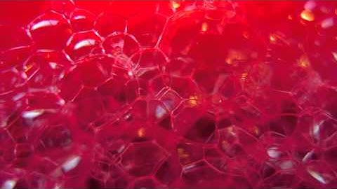 The wombats - Kill The Director [Paul Hartnoll Remix]