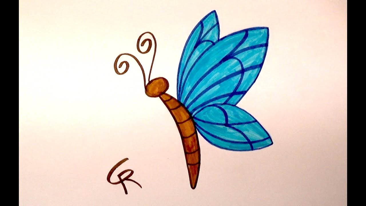 drawing of a butterfly