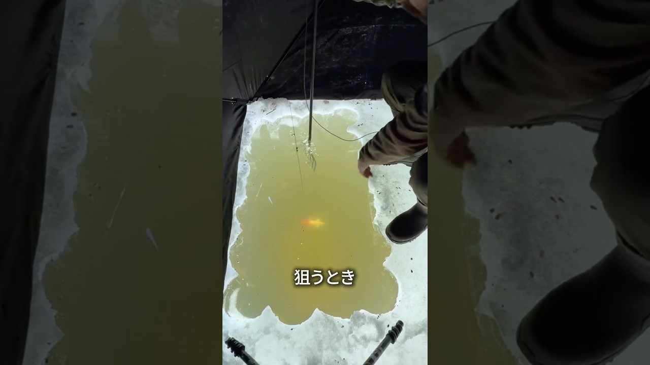 釣り人たちがわざと外して狙う理由