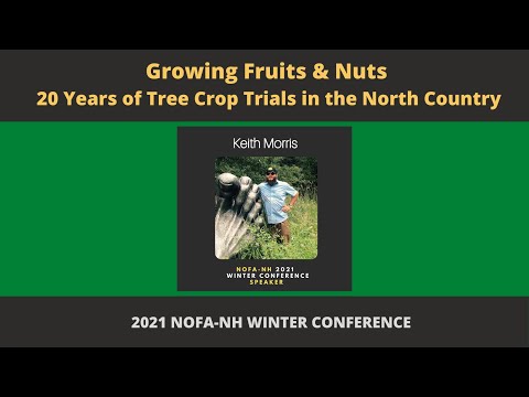वाढणारी फळे आणि नट: उत्तर देशात 20 वर्षे वृक्ष पिकाच्या चाचण्या | कीथ मॉरिस