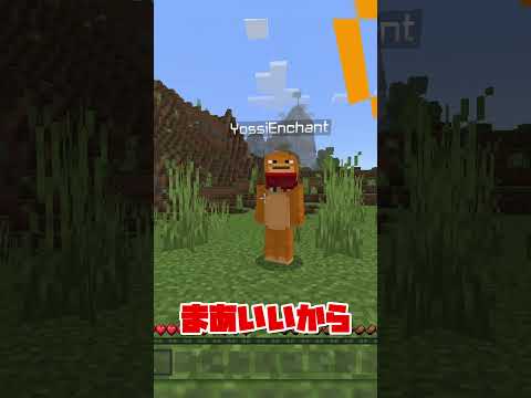 なぜかって、エンチャントこどもをフォローしてるから #マイクラ #茶番