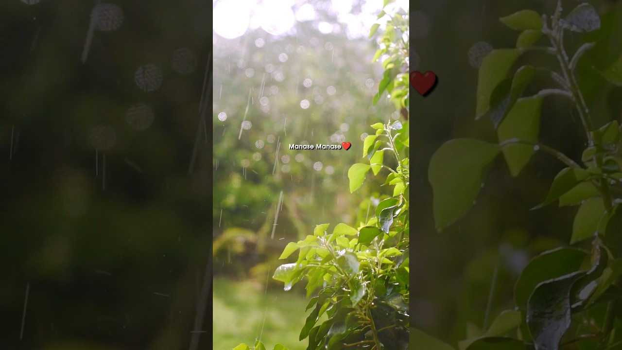 Manase Manase Thanane Kalise💗💖💝#whatsappstatus #telugulyrics #shorts