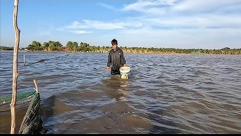 Vợ chồng miền tây đổ dớn mùa gió bấc @vochongmientaytv 