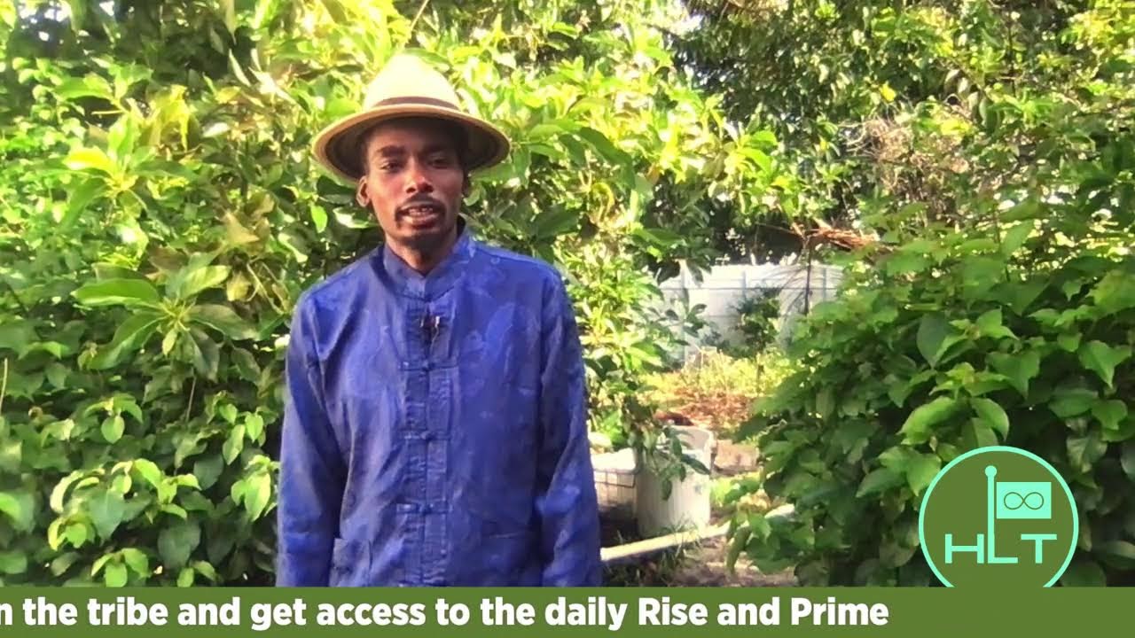 Rise and Prime