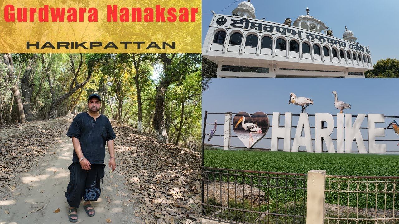 Punjab Travel | Harike Head | Gurudwara Nanaksar Sahib । Harike pattan gurdwara sahib