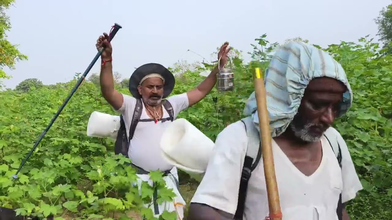 माँ नर्मदा परिक्रमा दिवस 20वा कांकरोज ते वाढवाणा (मणिनागेश्वर) 29किमी २३/१०/२०२५