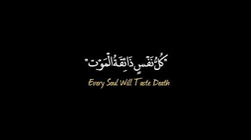 قرآن #عبدالرحمن_مسعد #قرآن #تلاوة_خاشعة #كل_نفس_ذائقة_الموت #سورة_العنكبوت #تلاوة