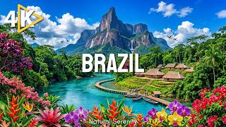 Brazil 4K ULTRA HD – Untamed Paradise | Emerald Jungles, Powerful Waterfalls and Exotic Wildlife