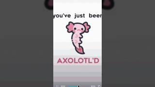 Youve Just Been Axolotld axolotl brainrot shorts labubu animation laxolotlcioccolato cute