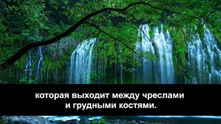 Ахмад Гулиев - сура 86 "Ат-Тарик" (Ночной путник)