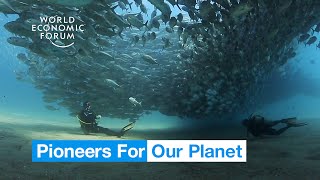 This Mexican reef came back from the dead | Pioneers for Our Planet
