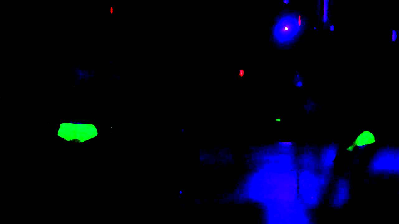 Black Light Cannon Bittersweet Studios Jax YouTube
