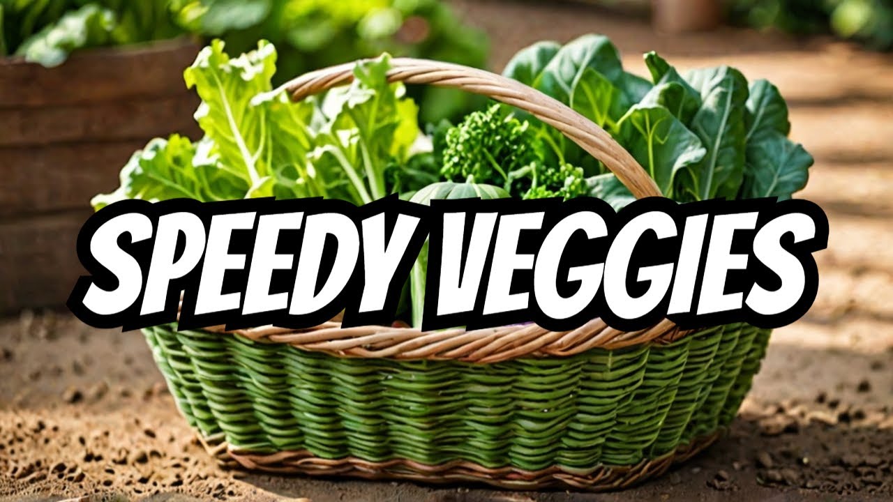 8 Fastest Growing Vegetables for a Quick Harvest in Canada