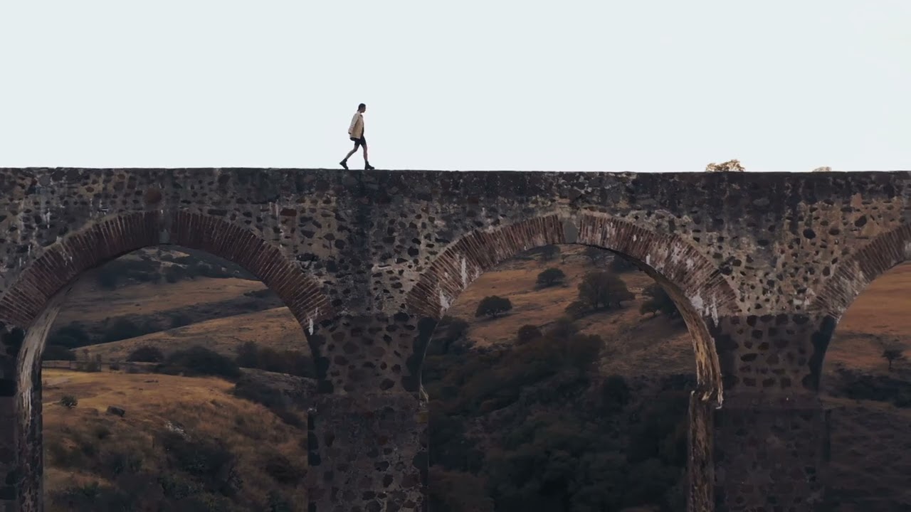 Whispers of the Wild: A Cinematic Journey Through Nature's Splendor