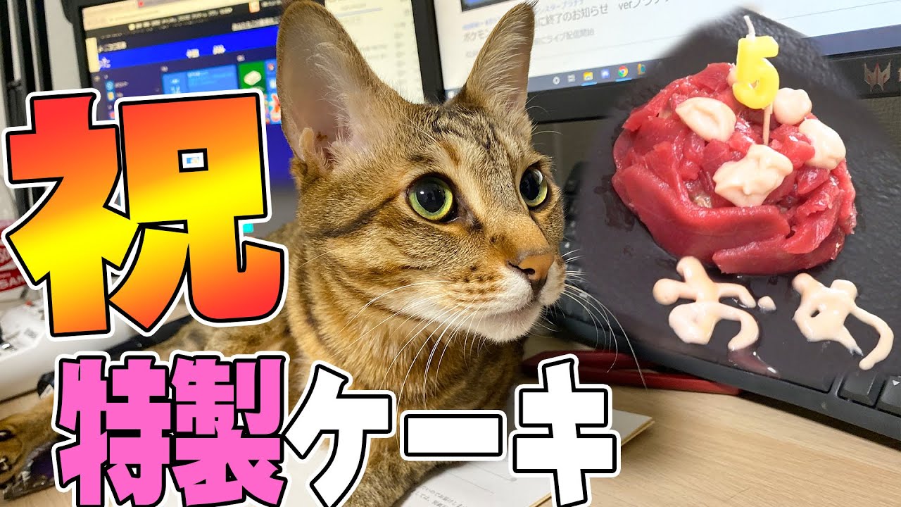 ティガーの誕生日に本マグロのケーキを作ってみた Youtube