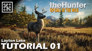 the Hunter: Call of the wild CZ | Tutorial 01 - #99 | Lets play | Česky