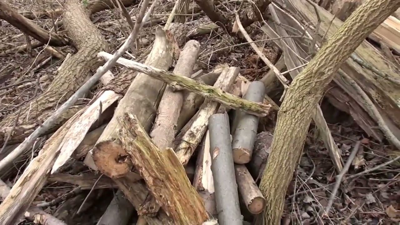 Waldhütte Sickte Neuerkerode Lost Place am Friedhof Sickte Hundeplatz Sickte