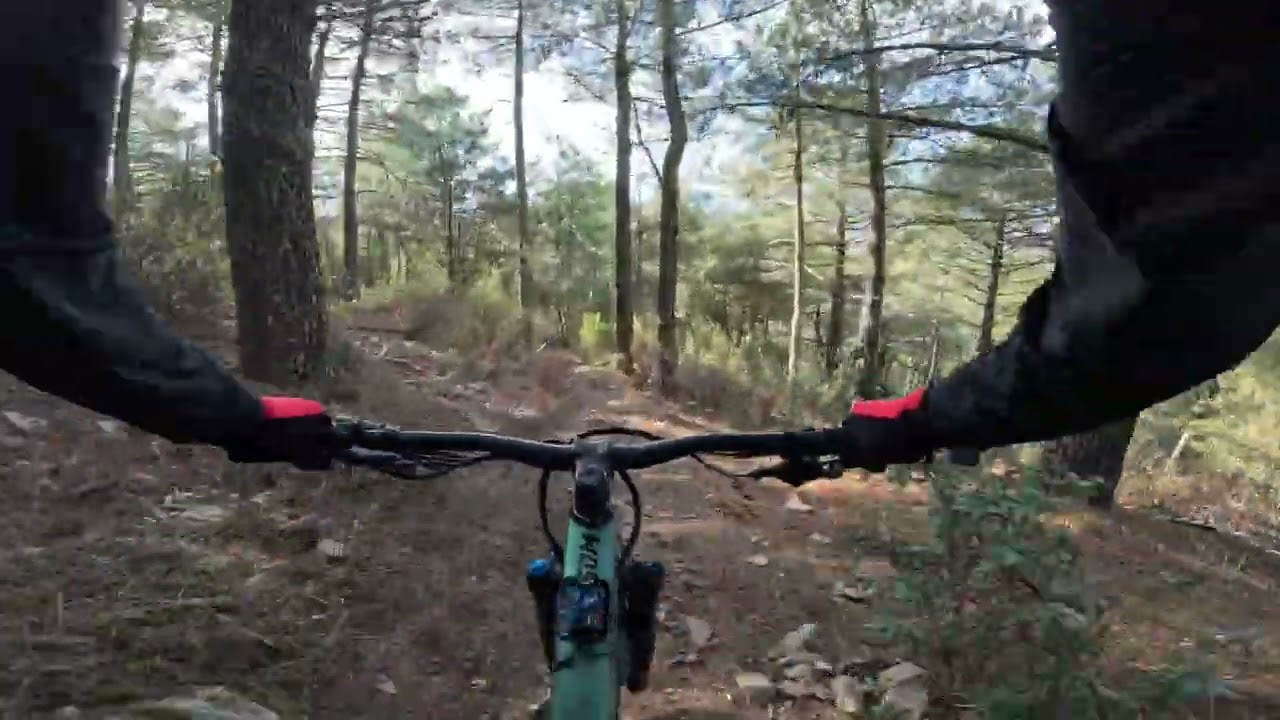 Troncha piernas completo 11-01-26