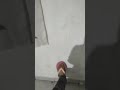 12 de enero de 2026