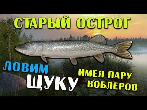 Озеро старый острог ловля налима Озеро старый острог ловля налима