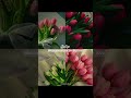 What's your favourite flower?💐💕 #shorts #aesthetic #flowers #beautyofnature